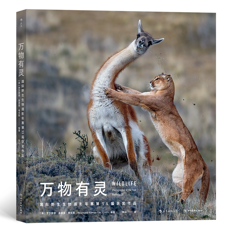 万物有灵：国际野生生物摄影年赛第55届获奖作品