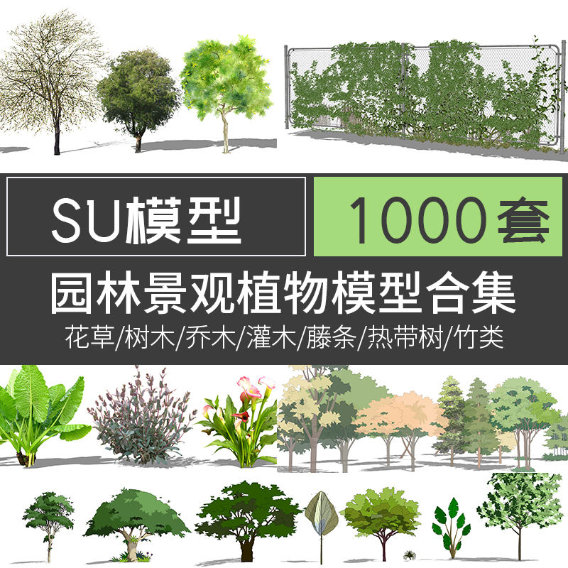 园林景观植物SU模型花草树木竹子乔木花卉灌木手绘真实2D3D素材库