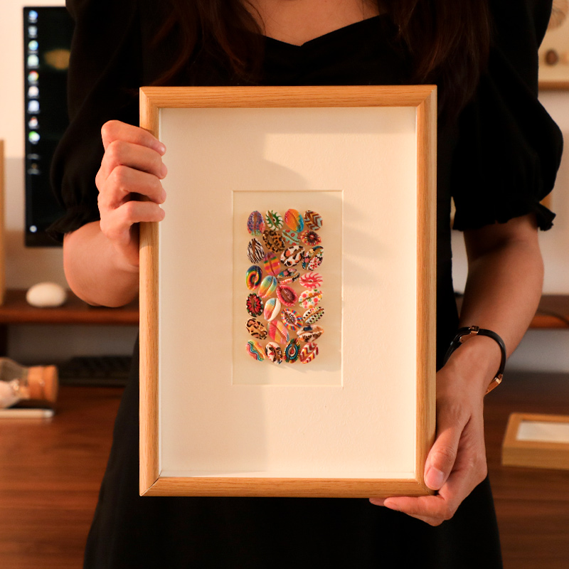 天然贝壳海螺挂画标本diy手工艺品摆件相框制作家居装饰创意制品