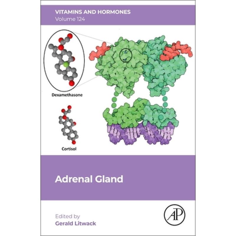 【4周达】Adrenal Gland: Volume 124 [9780443194009]