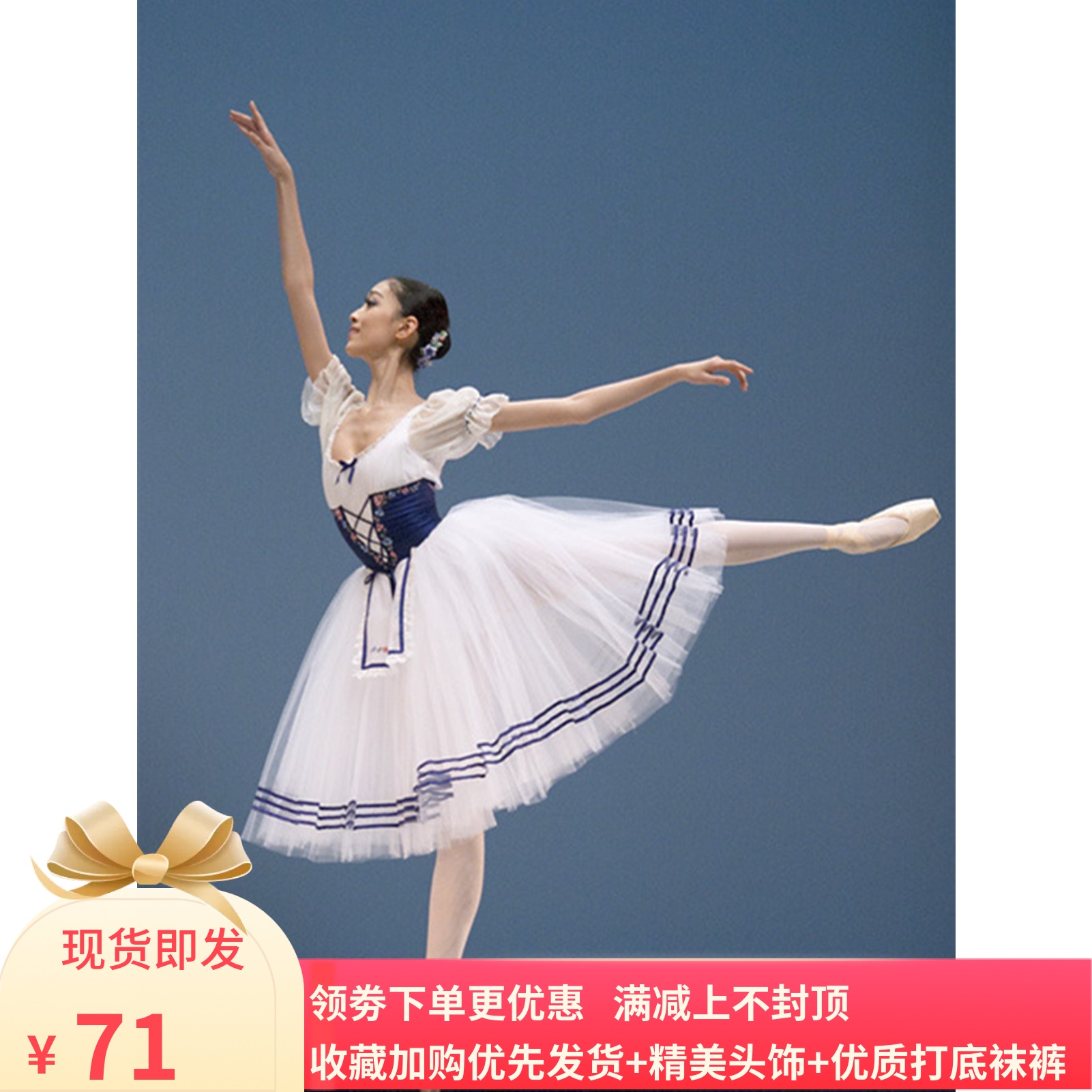 成人专业芭蕾舞蹈演出服装芭蕾舞仙女泡泡袖长裙儿童白纱蓬蓬裙