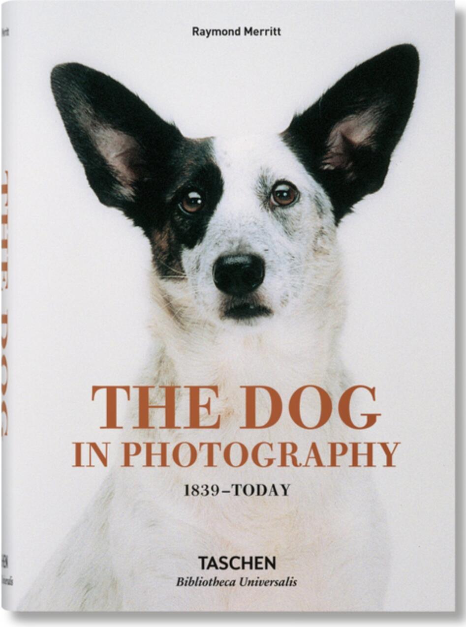 照片中的狗 英文原版 The Dog in Photography 1839–Today 塔森艺术书 中图