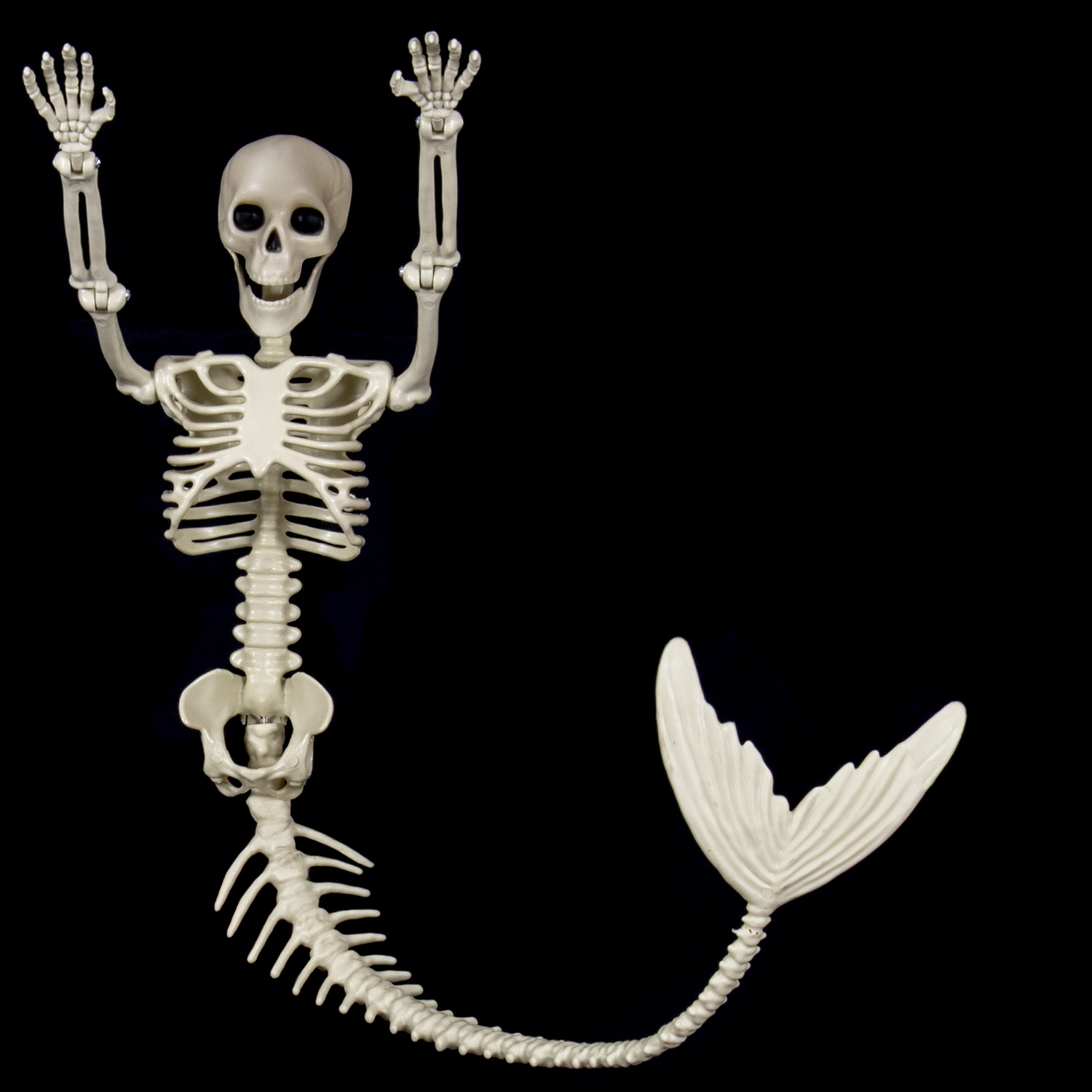 万圣节鱼骨架80cm仿真美人鱼骨骷髅活动气氛场景布置道具