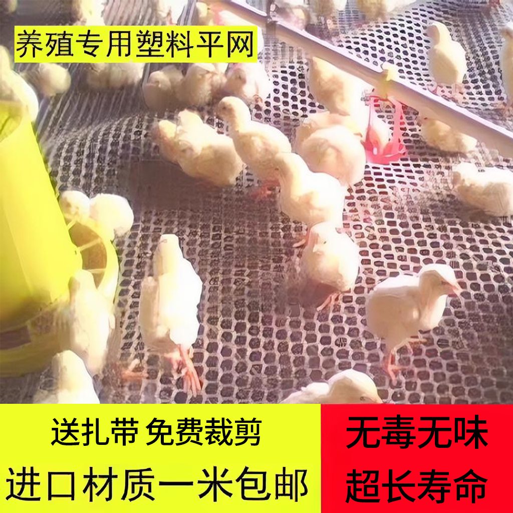 鸡用漏粪板 鸭鹅用禽用加厚塑料漏粪网 养鸡设备鸡舍地板养殖器械