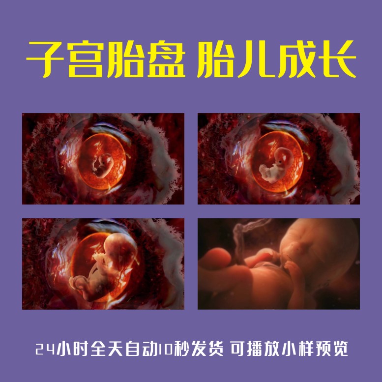 子宫胎盘胎儿成长变化形成发育生长过程胚胎女性怀孕动画视频素材