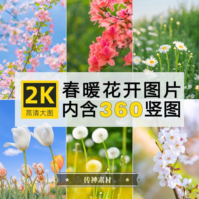 4K高清春天花朵竖图片春暖花开摄影ps设计2K手机壁纸背景素材合集
