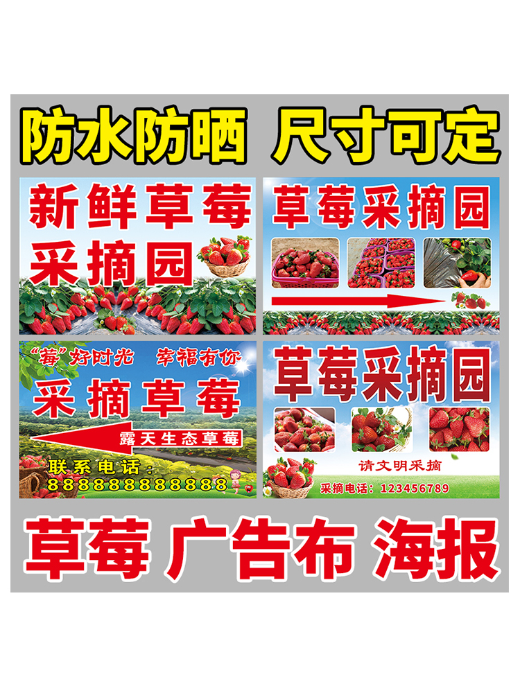 草莓生态园卖丹东草莓广告宣传海报喷绘布采摘基地定制打印指引牌