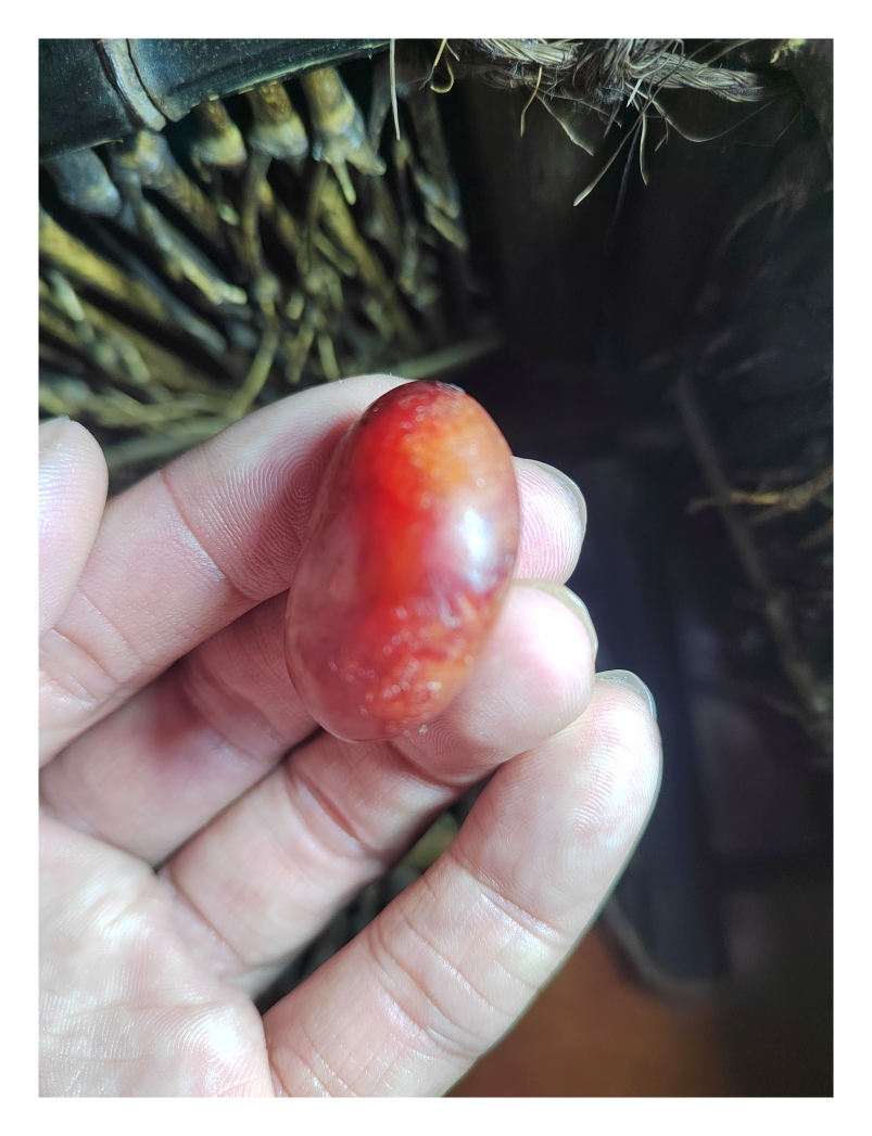 凝血红红玉籽料原石，古籍记载艳若鸡冠，密度2.99新疆和田玉籽料
