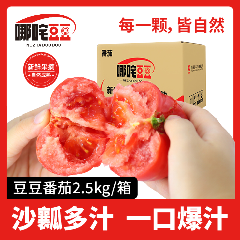 水果品种 西红柿
