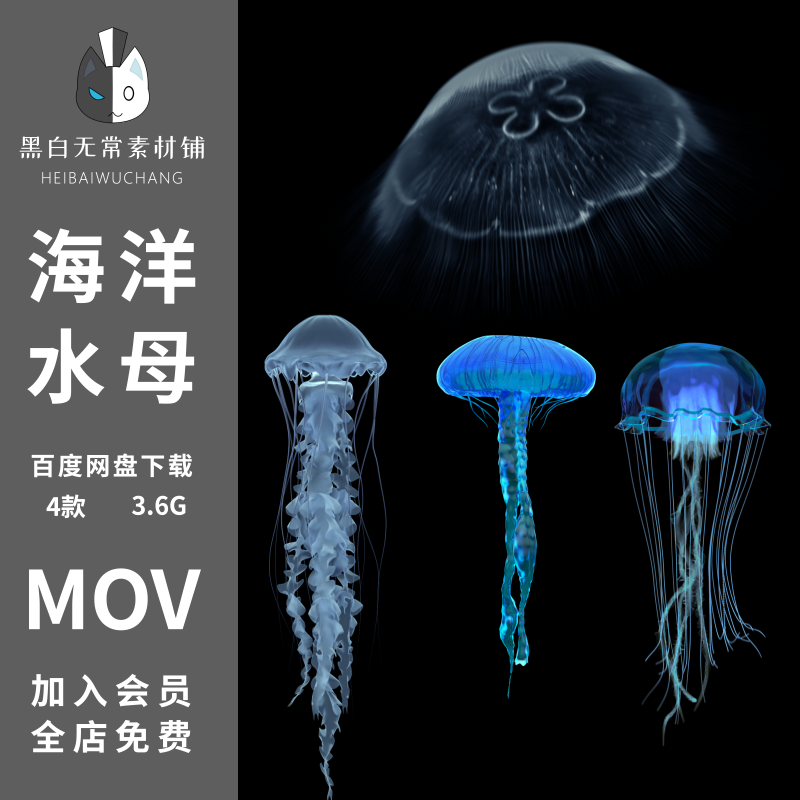 水母视频素材海洋水底蓝色生物游动漂浮AE特效合成设计动画元素pr