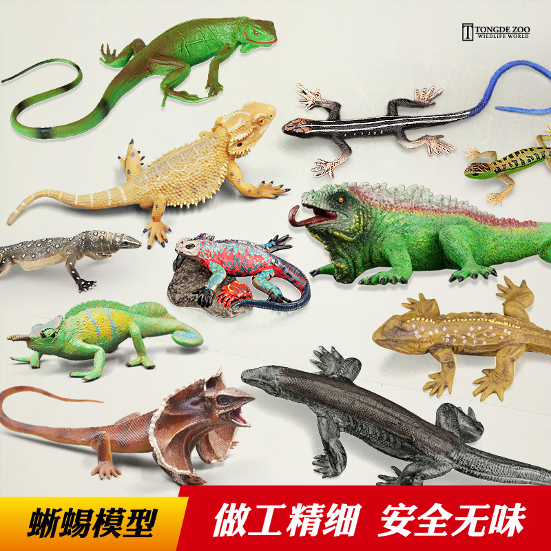 童德仿真蜥蜴玩具爬行动物模型变色龙科莫多巨蜥鬣蜥壁虎儿童摆件