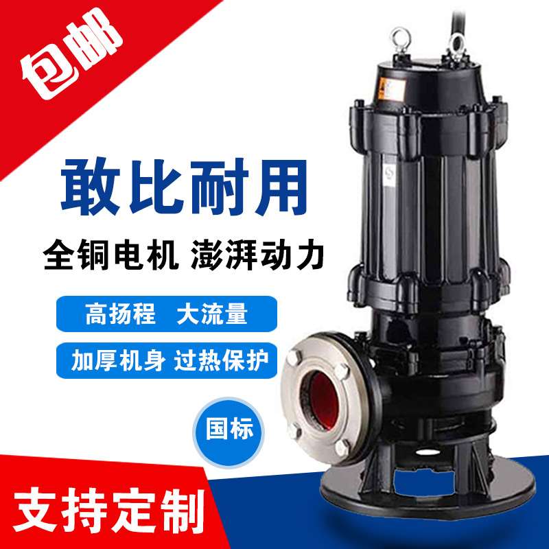 65WQ25-22-3 大功率排污泵 工程用污水泵提升泵 离心泵