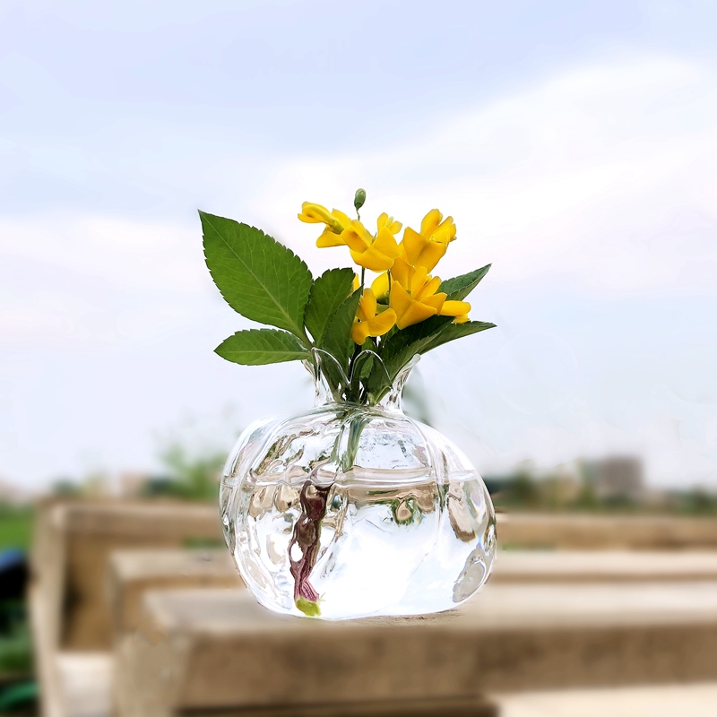 日本点屋设计石榴花瓶创意玻璃花瓶桌面水培迷你水养小清新花器