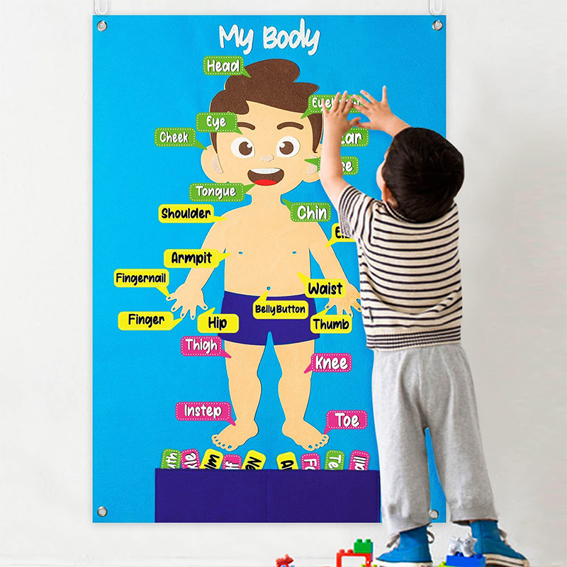英语早教道具幼儿园儿童认识知身体部位结构挂图袋毛毡布益智课堂