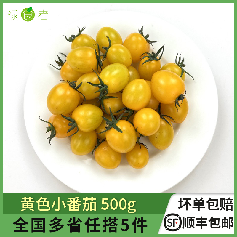 黄色小番茄500g 夏日阳光圣女果小西红柿新鲜水果蔬菜沙拉食材
