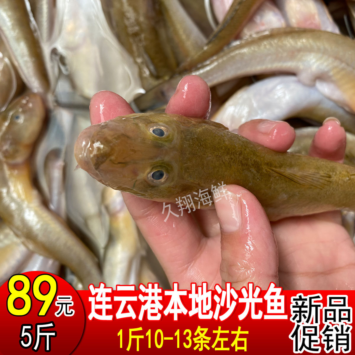 鲜活沙光鱼海鲶鱼油炸扔巴鱼1斤10-13条新鲜小龙鱼连云港海鲜水产