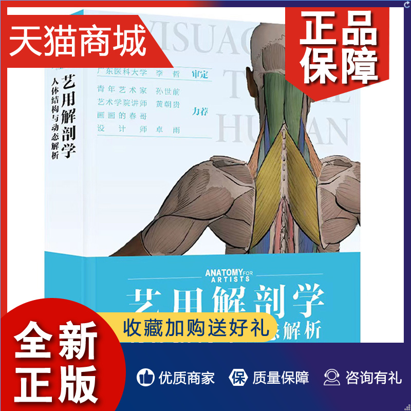 正版 预售 艺用解剖学 人体结构与动态解析 精装版 陈彦坤 9787121432767 电子工业