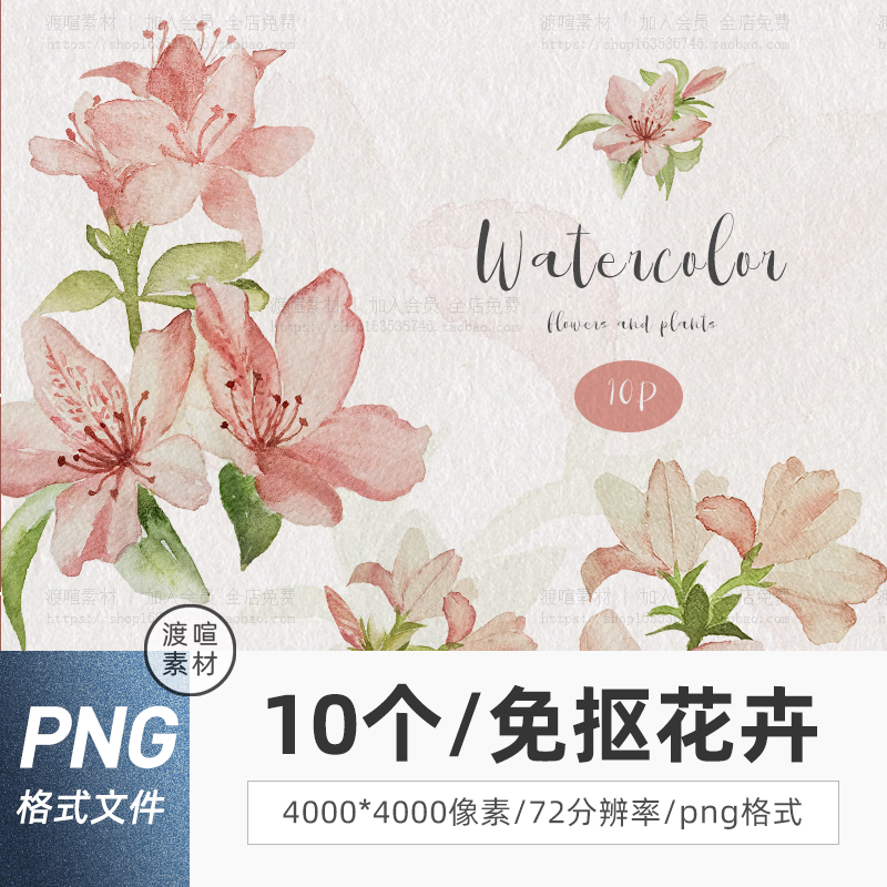 手绘唯美清新水彩百合植物花朵花卉包装剪贴画插画Png设计素材图