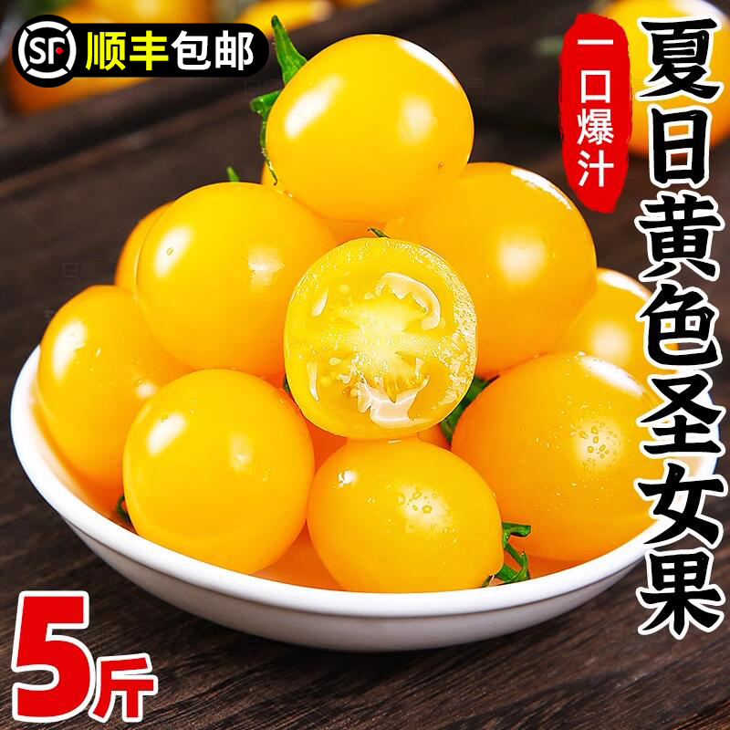 夏日黄色圣女果新鲜千禧小番茄5斤自然熟水果小西红柿子蔬菜3包邮