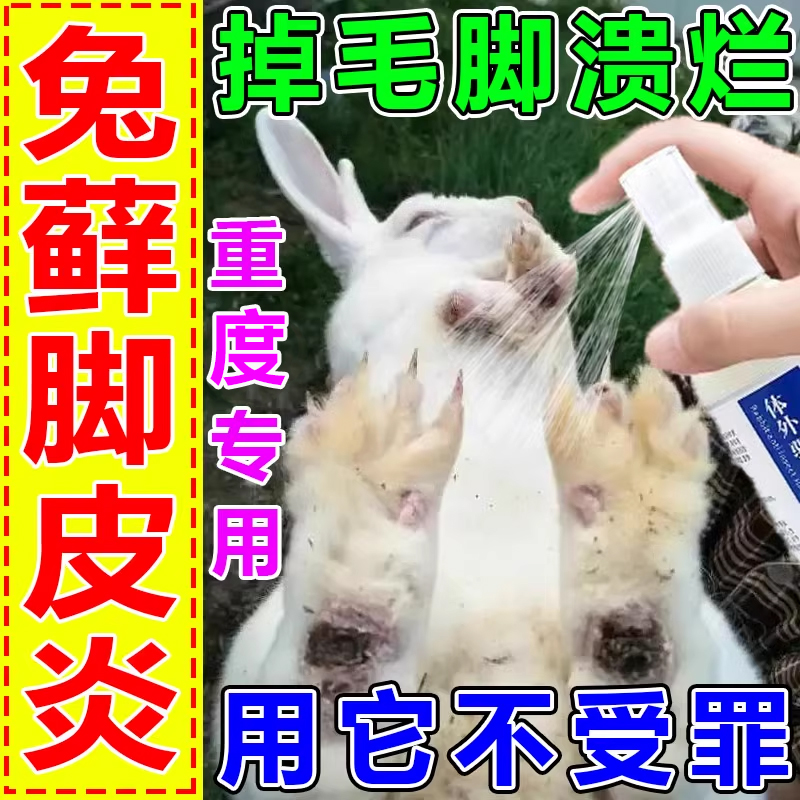 兔子脚皮炎真菌感染兔藓专用药耳朵脱毛掉毛除虱螨兔子皮肤病药