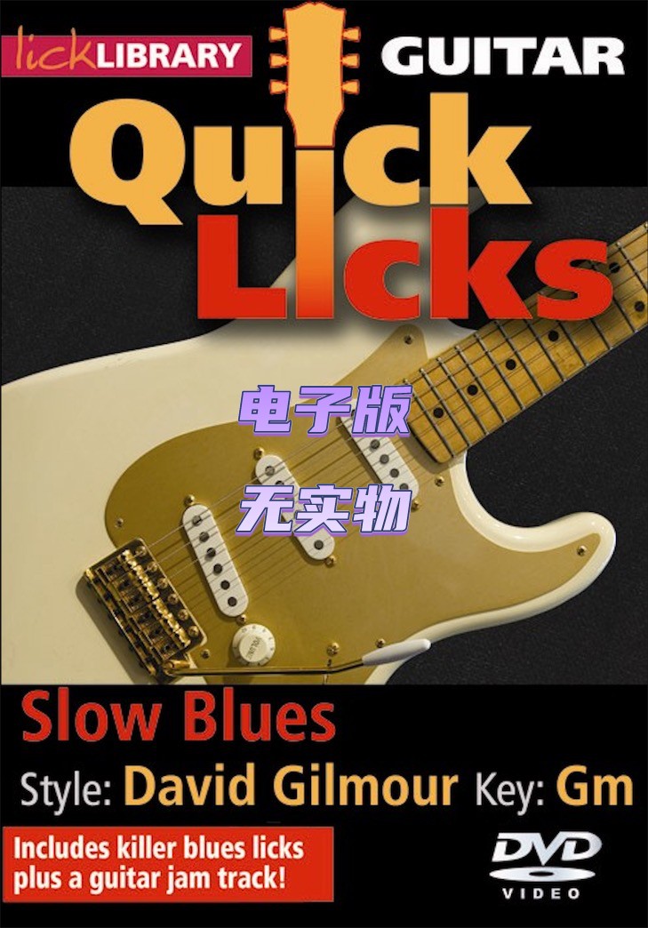 LL Quick Licks David Gilmour Slow Blues 慢布鲁斯吉他乐句+音