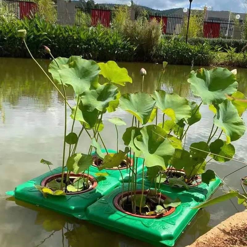 新型环保人工生态浮岛水生种植蔬菜稻浮床方形水上景观造景浮岛板