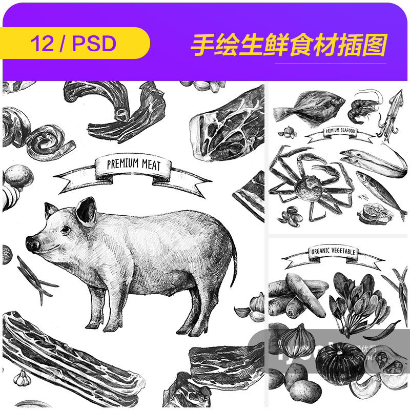 手绘美食生鲜食材蔬菜肉类海鲜黑白插图海报psd设计素材i2231503