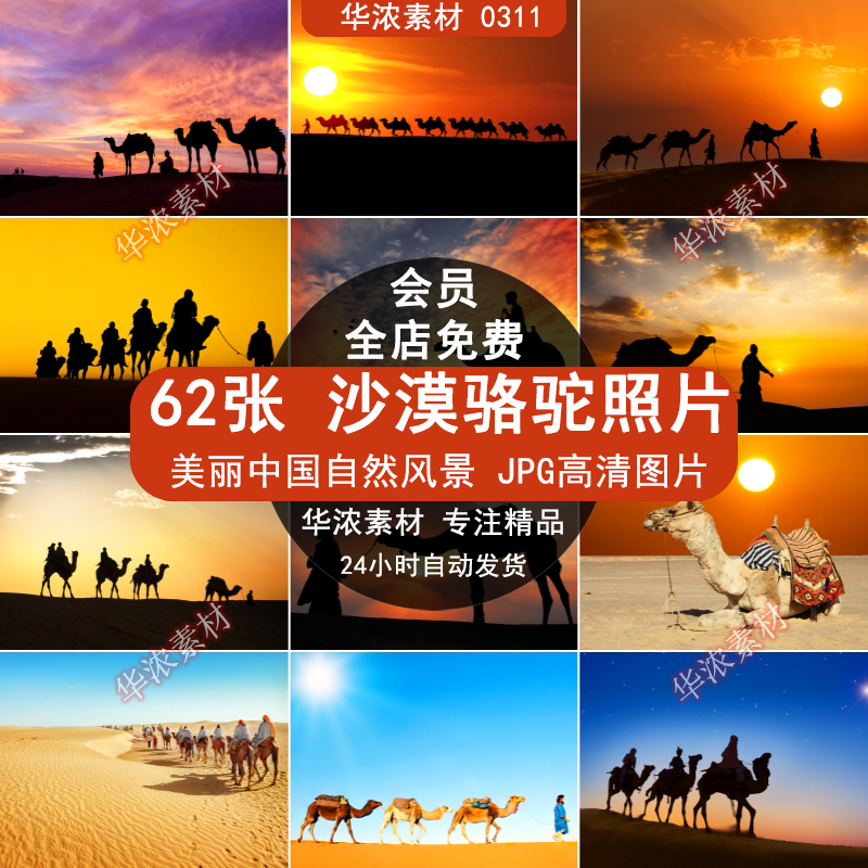 沙漠沙丘骆驼驼队荒漠夕阳高清自然风景JPG图片喷绘打印合成素材