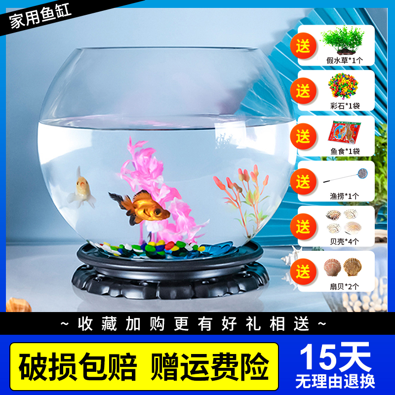 小鱼缸客厅小型乌龟金鱼缸桌面透明龟缸家用水培器皿植物花盆容器