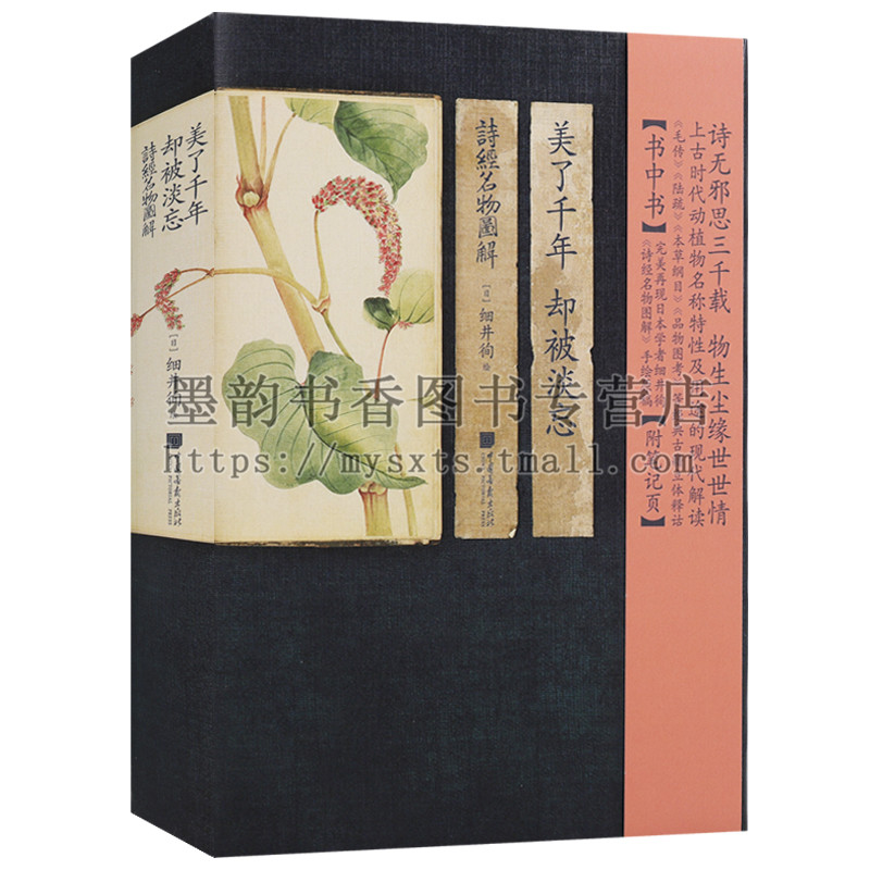 正版 美了千年却被淡忘 诗经名物图解（日）细井徇绘 上古时代动植物名称特性及用途的现代解读日本画家手绘原稿物 中国画报出版社