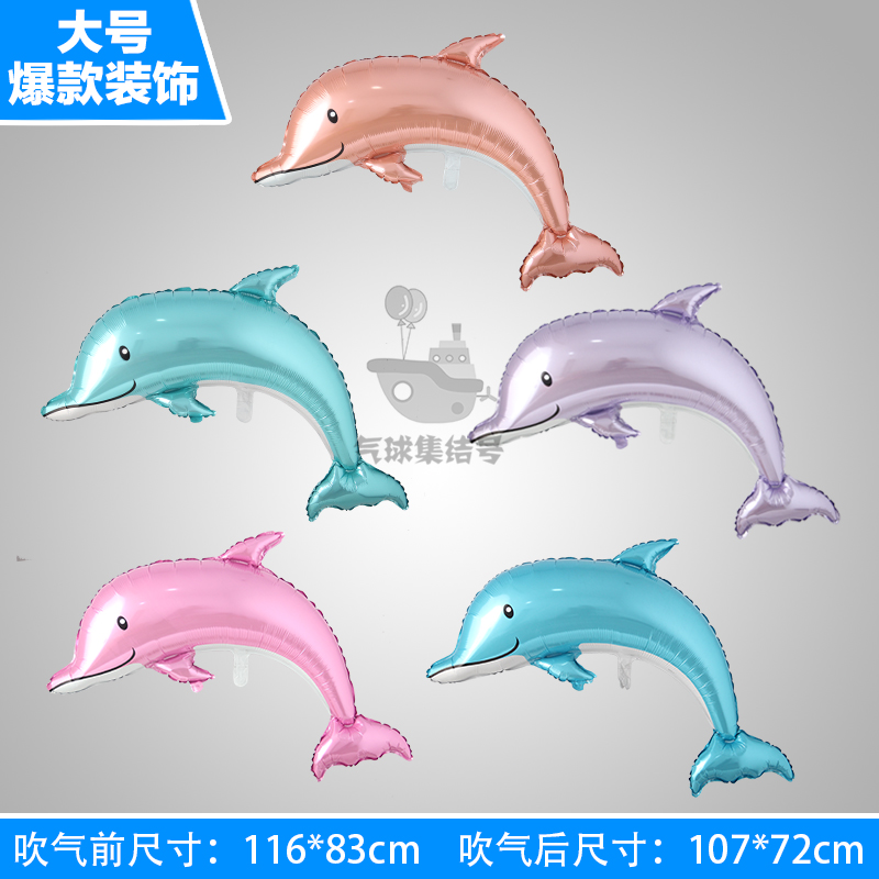 海豚动物卡通