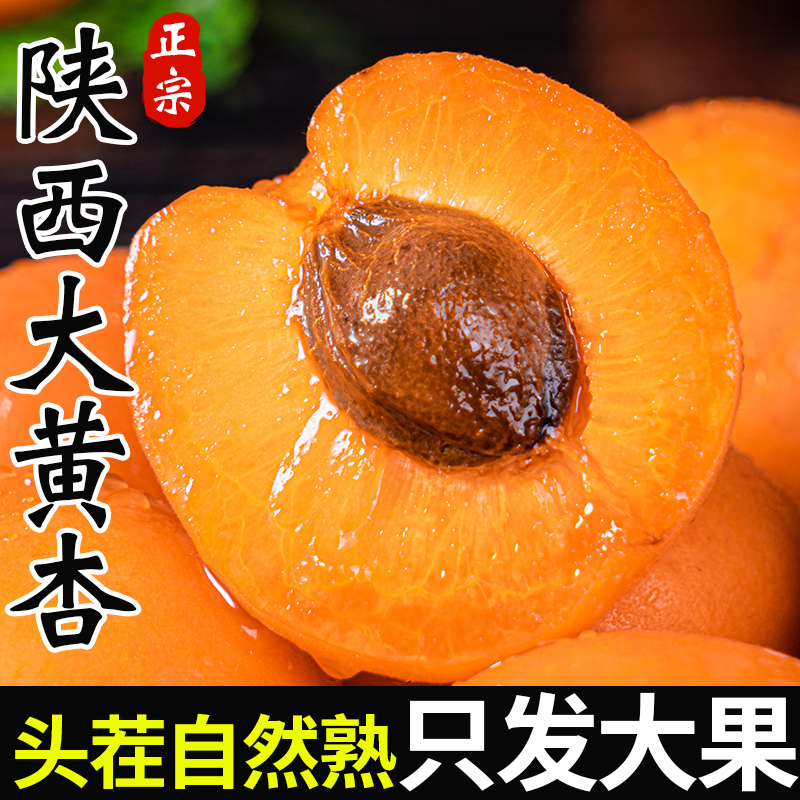 现货杏子新鲜水果陕西大黄杏当季整箱时令现摘酸甜蜜杏金太阳孕妇