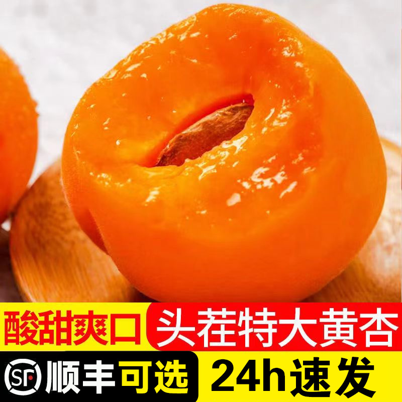 【现货】陕西大黄杏新鲜水果杏子酸甜孕妇3/5斤当季金太阳杏礼盒