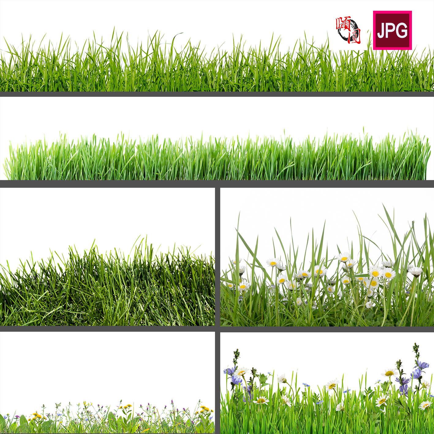 绿色草坪草地小草鲜花背景图片设计素材
