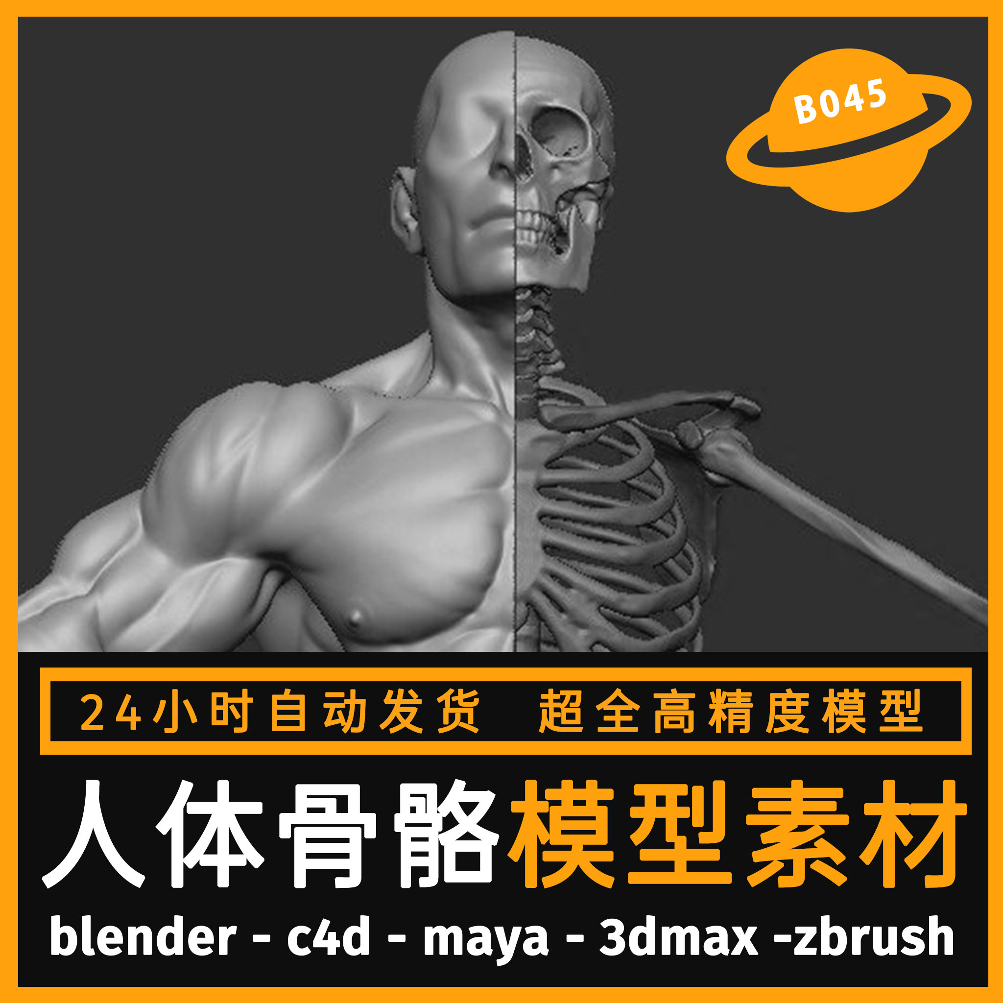 人体骨骼3D模型C4D MAX MAYA Blender FBX人物身体骨架骨头素材