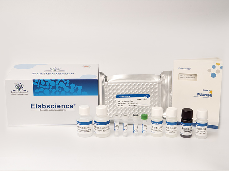Elabscience MS-小鼠白介素12(IL-12)酶联免疫吸附测定试剂盒 96T