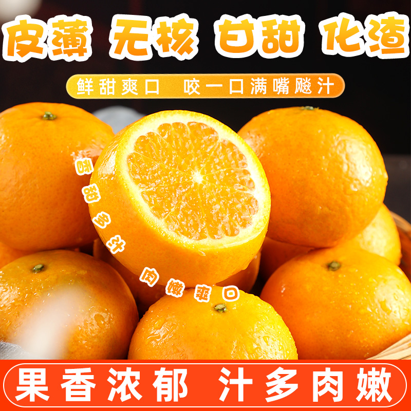四川仁寿金诺柑橘鲜果新鲜5斤9斤整箱当季橘子