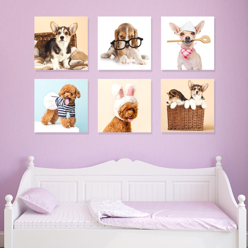 可爱狗狗动物装饰画宠物店挂画现代简约无框画儿童房卧室背景墙壁
