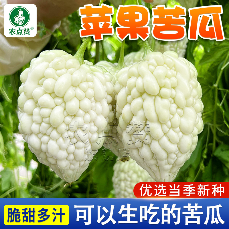 台湾苹果苦瓜种孑高产白色白玉水果甜白苦瓜种子爬藤苦瓜种籽大全