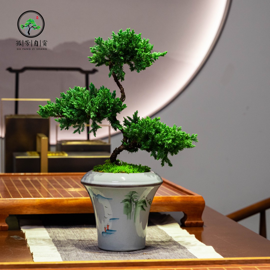 迎客松真柏造型树桌面室内高档绿植松柏文人盆景办公室中式盆栽