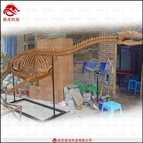 仿真蛇颈龙模型美陈恐龙骨架化石制作博物馆科普机器感应动态恐龙