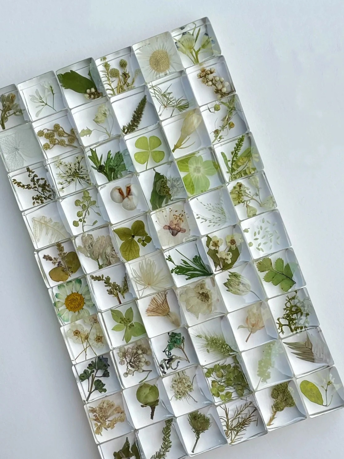 植物滴胶方块标本硅胶模具手工制作干花种子琥珀立体标本展示材料