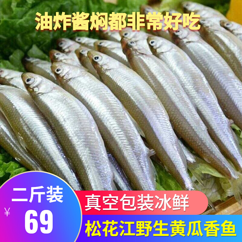 松花江黄瓜香春生子池沼公鱼东北特产一份一三斤淡水鱼类纯江鱼