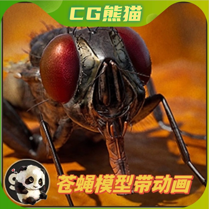 UE5虚幻5 Animalia - Housefly 高品质苍蝇模型带动画