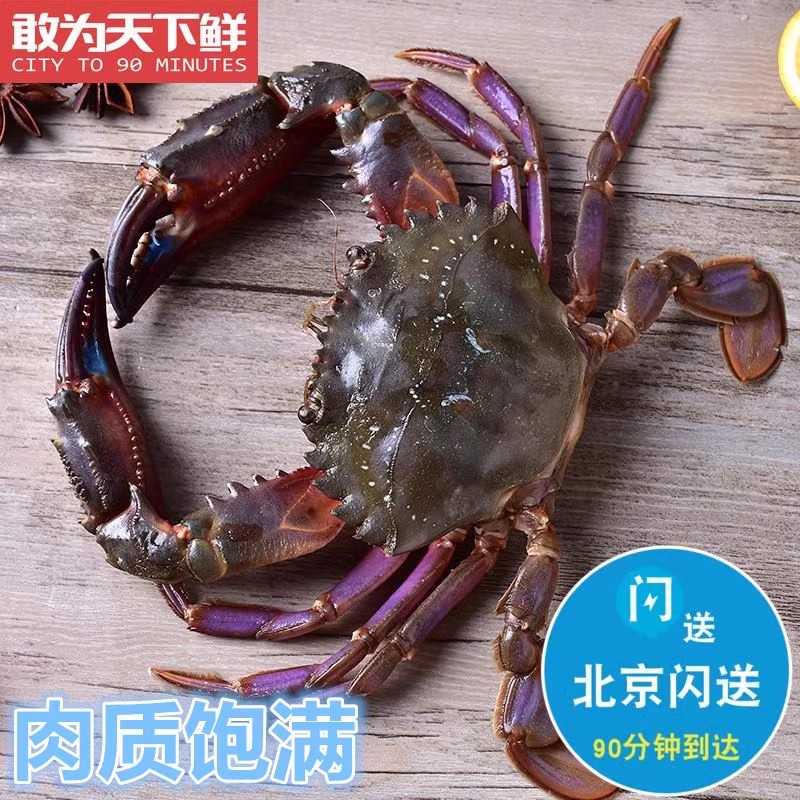 2-4只 500g 北京闪送 鲜活赤甲红 螃蟹 海鲜 水产石蟹海虹蟹