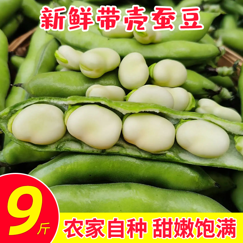 苏北农家新鲜生大绿心带壳蚕豆米嫩胡罗汉豆角10斤青豆荚蔬菜现摘