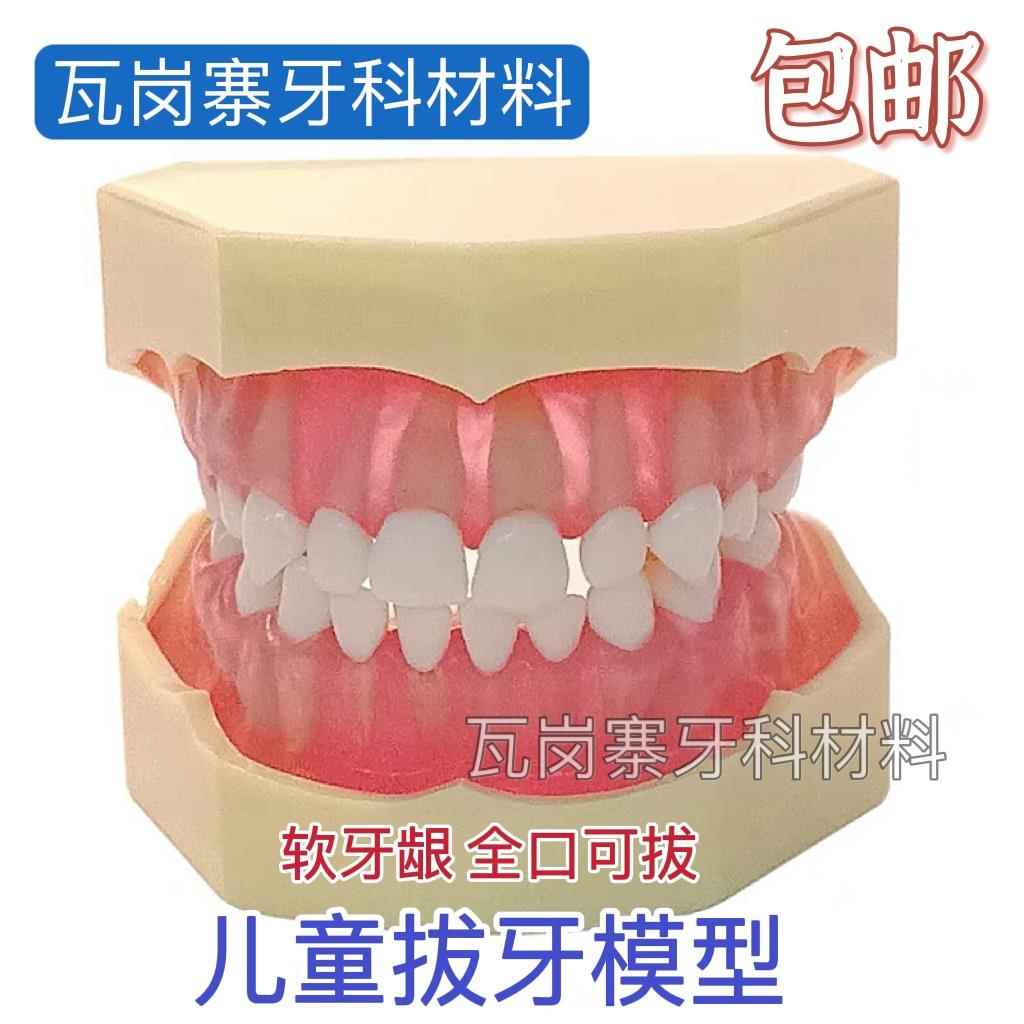 牙科口腔教学模型标准乳牙可拔牙模型20颗儿童可拔牙软牙龈