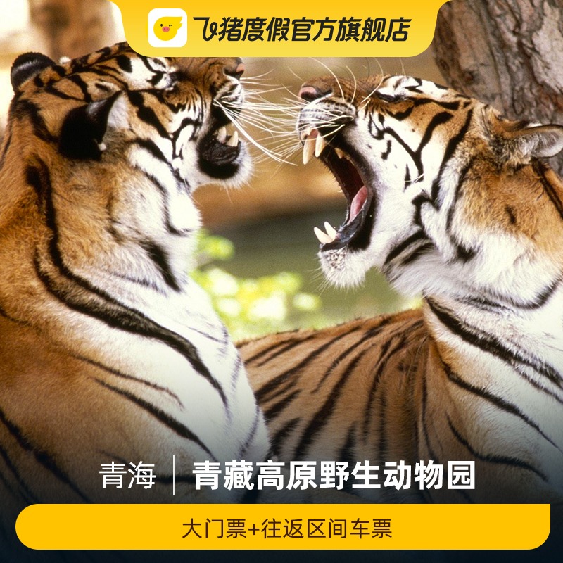 [青藏高原野生动物园-大门票+熊猫馆门票]青藏高原野生动物园