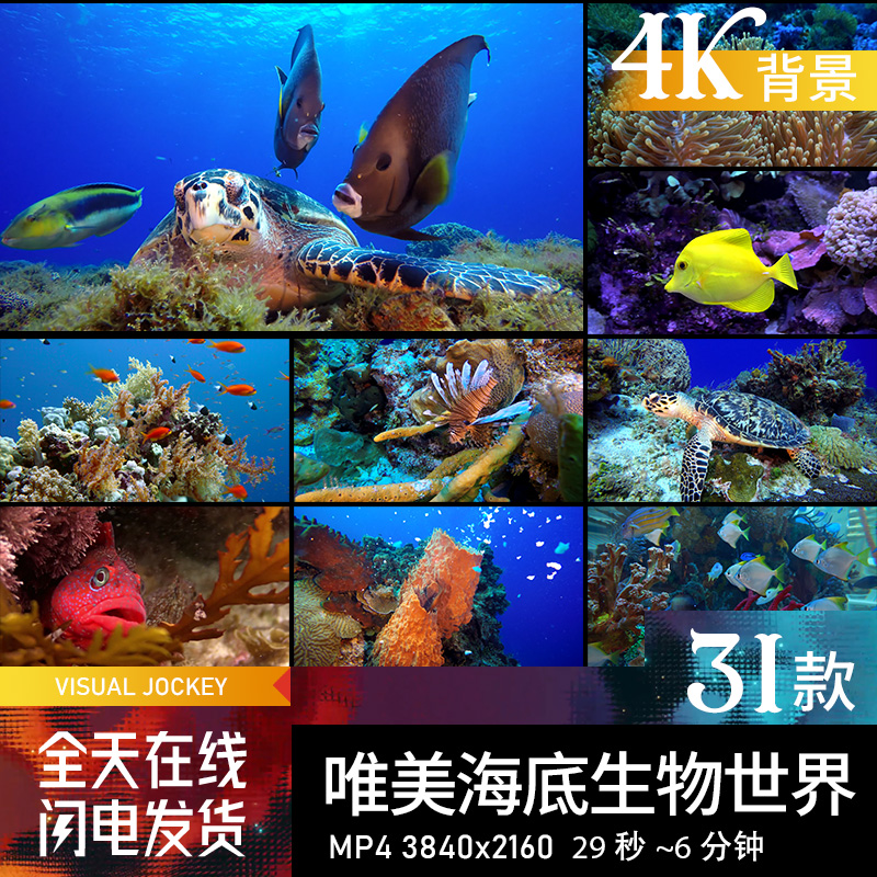 唯美海底海洋动物世界海龟直播LED视频背景酒吧素材大屏幕投屏4K