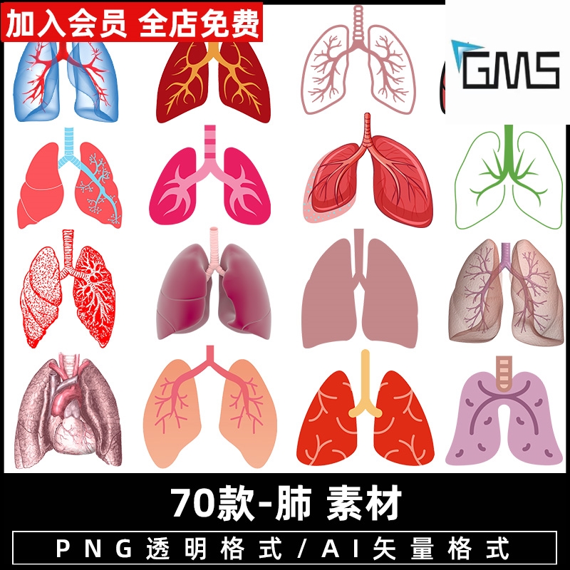 肺图标人体器官红色肺部手绘卡通医学血管png免抠图片免扣素材